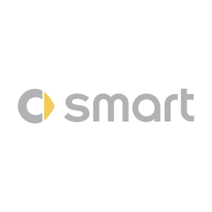 Smart ricambi originali e compatibili carrozzeria fanalistica componenti elettrici meccanici lubrificanti accessori.