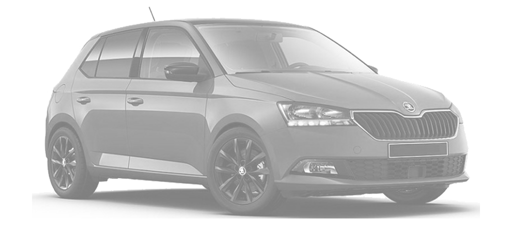 Ricambi Skoda FABIA 09-2018
