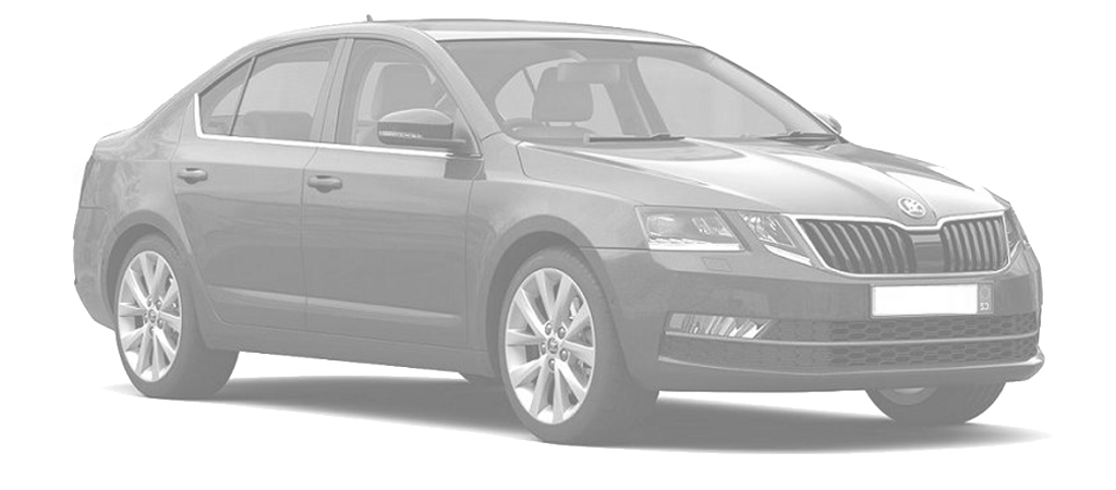 Ricambi Skoda OCTAVIA 01-2017/06-2020