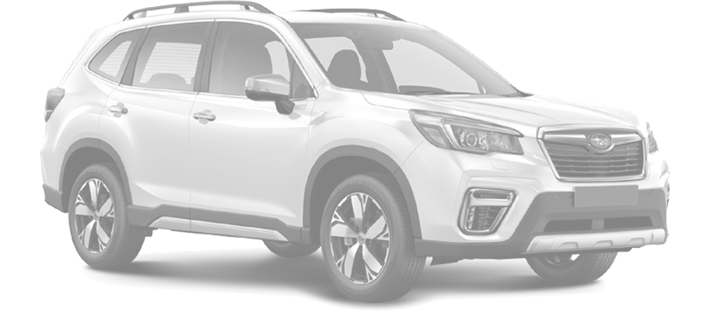 Ricambi Subaru FORESTER 09-2019