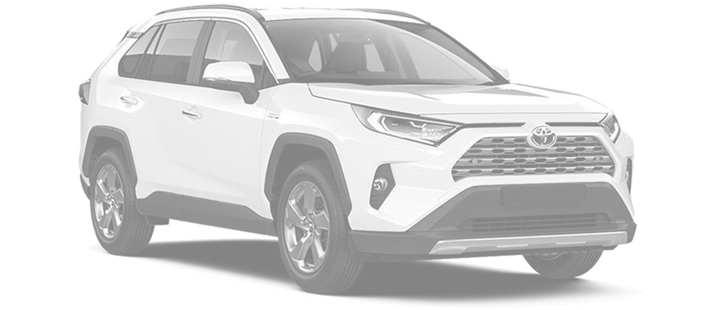 Ricambi Toyota RAV 4 01-2019
